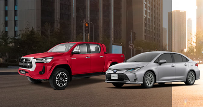 Toyotaviola Montes de Oca
