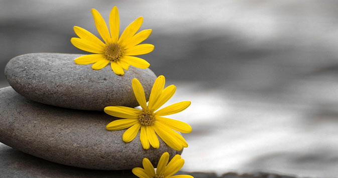 Espacio Mindfulness