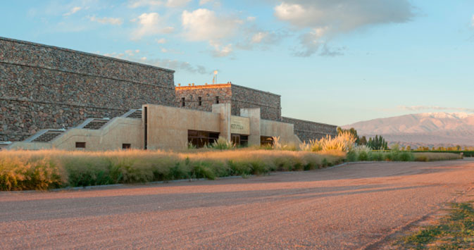 Bodega Séptima