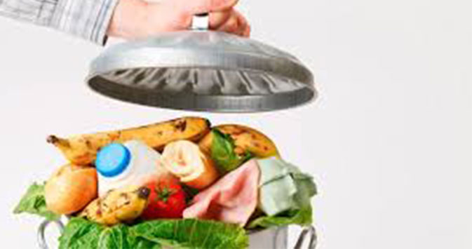 Santa Fe Alimentos
