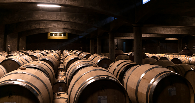 Bodega Piedra Negra