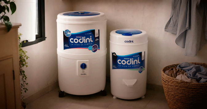 Codini