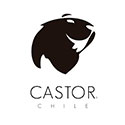 Logo de Castor Watches