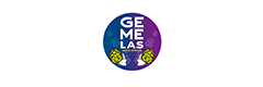 Gemelas Cerveza Artesanal