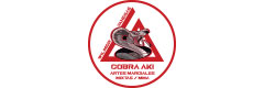 Academia Cobra AKI